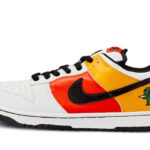 Nike SB Dunk Low Pro Raygun Home