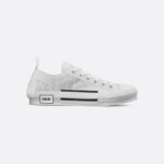 B23 Low-Top Sneaker White and Navy Blue Dior Oblique Canvas