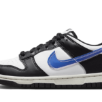 Nike Dunk Low Next Nature TPU Swoosh